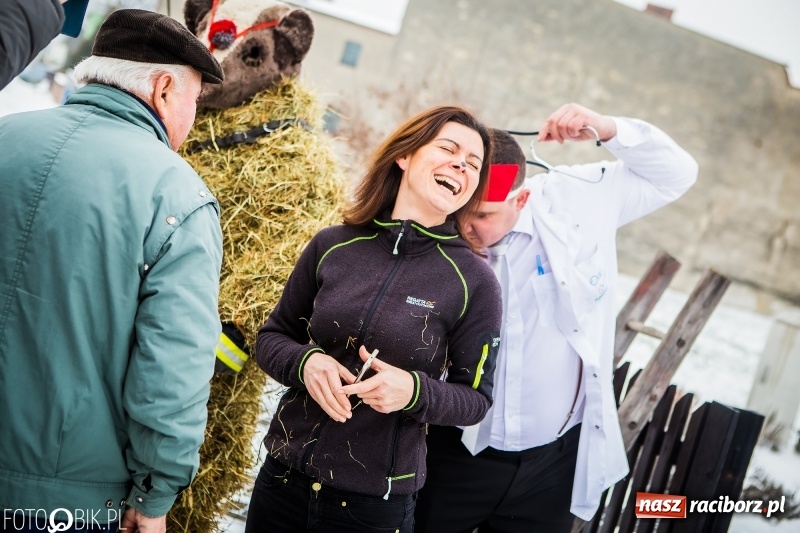 Zdjęcie w galerii na portalu naszraciborz.pl: Samborowicki tanzbär na koniec karnawału FOTO i WIDEO wiadomości z regionu