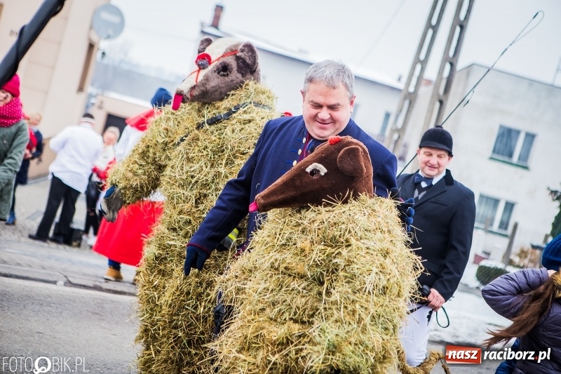 Zdjęcie w galerii na portalu naszraciborz.pl: Samborowicki tanzbär na koniec karnawału FOTO i WIDEO wiadomości z regionu
