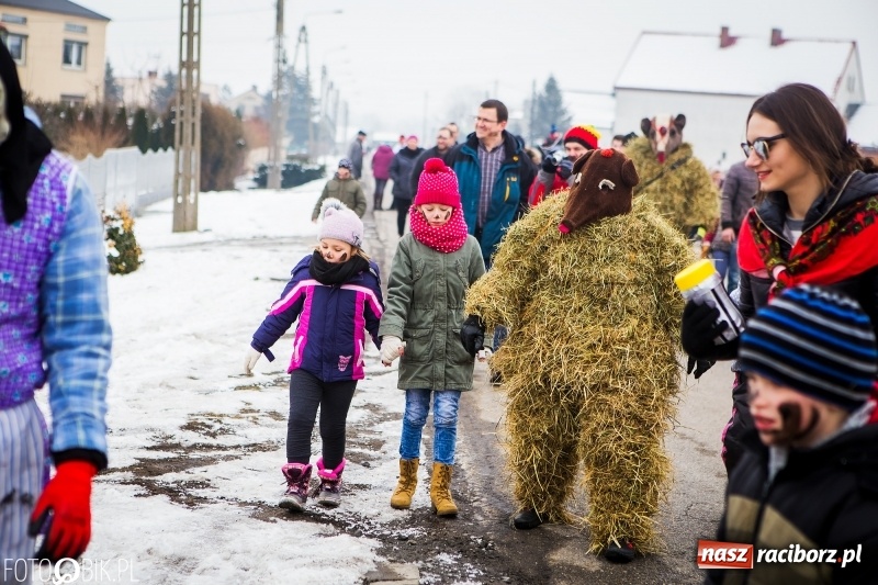 Zdjęcie w galerii na portalu naszraciborz.pl: Samborowicki tanzbär na koniec karnawału FOTO i WIDEO wiadomości z regionu