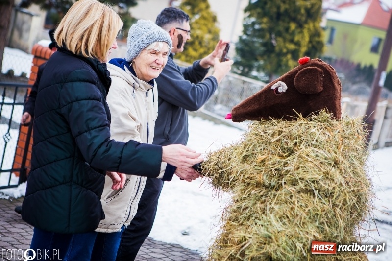 Zdjęcie w galerii na portalu naszraciborz.pl: Samborowicki tanzbär na koniec karnawału FOTO i WIDEO wiadomości z regionu