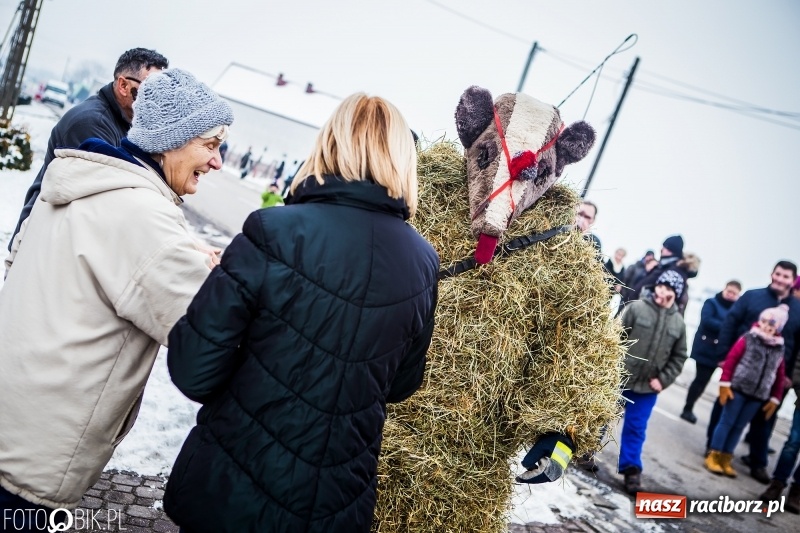 Zdjęcie w galerii na portalu naszraciborz.pl: Samborowicki tanzbär na koniec karnawału FOTO i WIDEO wiadomości z regionu