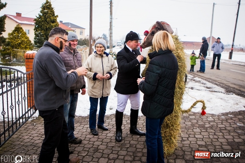 Zdjęcie w galerii na portalu naszraciborz.pl: Samborowicki tanzbär na koniec karnawału FOTO i WIDEO wiadomości z regionu