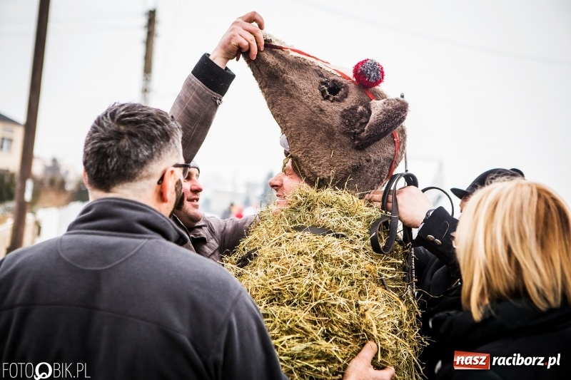 Zdjęcie w galerii na portalu naszraciborz.pl: Samborowicki tanzbär na koniec karnawału FOTO i WIDEO wiadomości z regionu