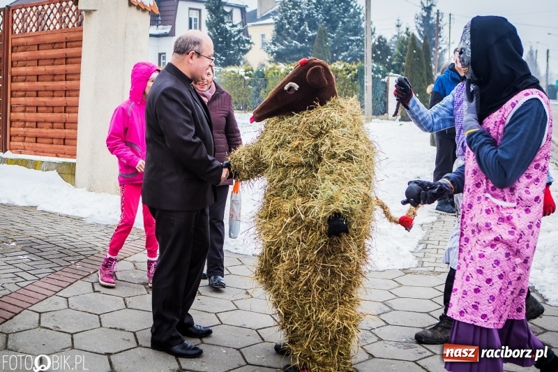 Zdjęcie w galerii na portalu naszraciborz.pl: Samborowicki tanzbär na koniec karnawału FOTO i WIDEO wiadomości z regionu