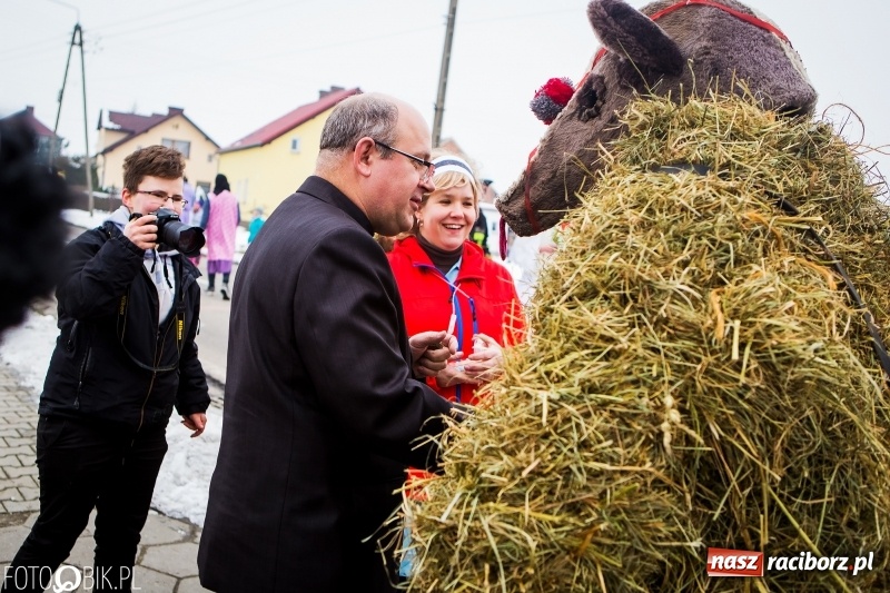 Zdjęcie w galerii na portalu naszraciborz.pl: Samborowicki tanzbär na koniec karnawału FOTO i WIDEO wiadomości z regionu