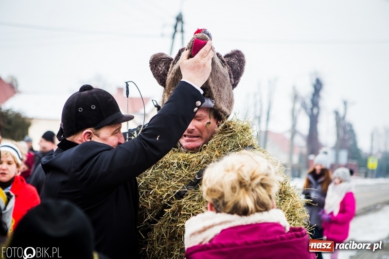 Zdjęcie w galerii na portalu naszraciborz.pl: Samborowicki tanzbär na koniec karnawału FOTO i WIDEO wiadomości z regionu