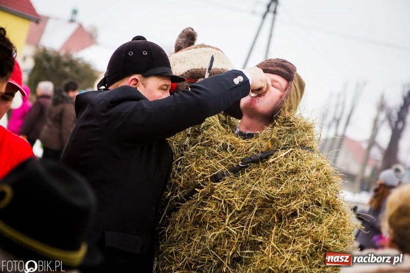 Zdjęcie w galerii na portalu naszraciborz.pl: Samborowicki tanzbär na koniec karnawału FOTO i WIDEO wiadomości z regionu