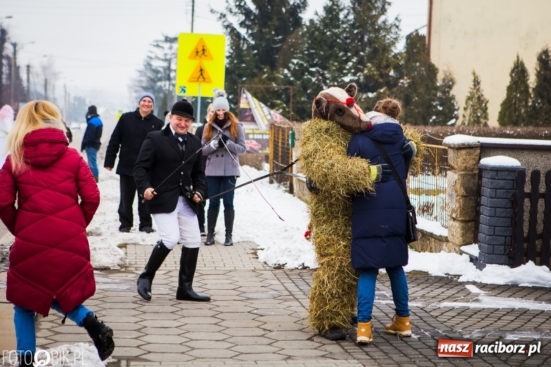 Zdjęcie w galerii na portalu naszraciborz.pl: Samborowicki tanzbär na koniec karnawału FOTO i WIDEO wiadomości z regionu