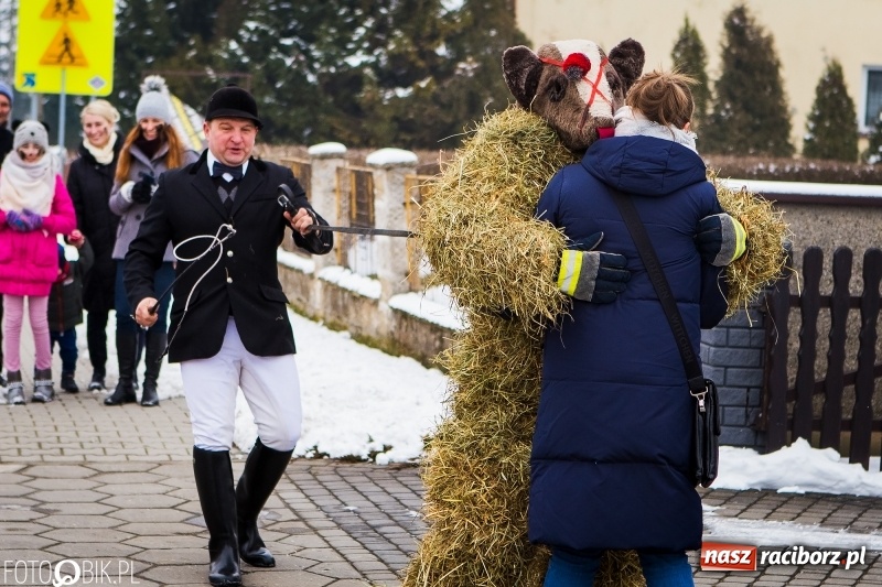Zdjęcie w galerii na portalu naszraciborz.pl: Samborowicki tanzbär na koniec karnawału FOTO i WIDEO wiadomości z regionu