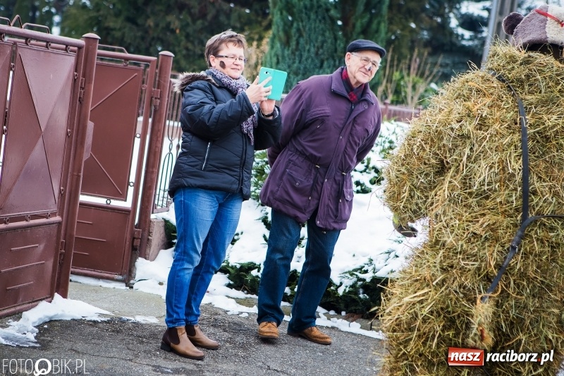 Zdjęcie w galerii na portalu naszraciborz.pl: Samborowicki tanzbär na koniec karnawału FOTO i WIDEO wiadomości z regionu