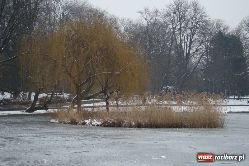 Zdjęcie w galerii na portalu naszraciborz.pl: Stary szpital przed Światowym Dniem Chorego wiadomości z regionu