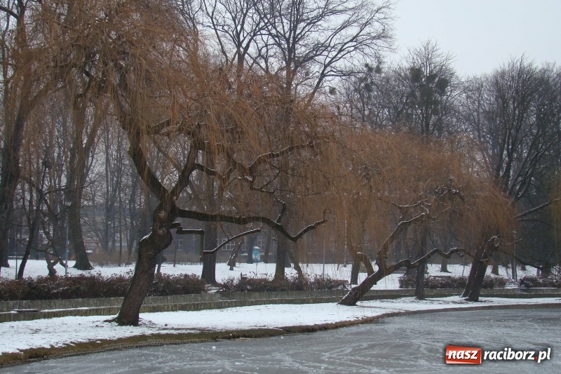 Zdjęcie w galerii na portalu naszraciborz.pl: Stary szpital przed Światowym Dniem Chorego wiadomości z regionu