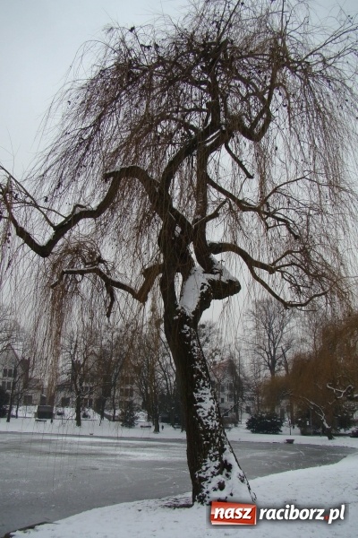 Zdjęcie w galerii na portalu naszraciborz.pl: Stary szpital przed Światowym Dniem Chorego wiadomości z regionu