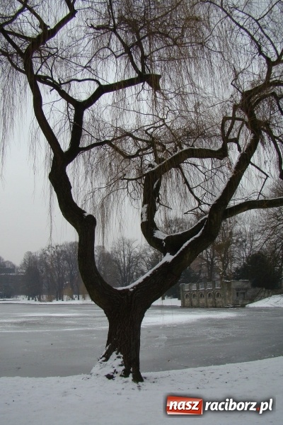 Zdjęcie w galerii na portalu naszraciborz.pl: Stary szpital przed Światowym Dniem Chorego wiadomości z regionu
