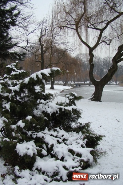 Zdjęcie w galerii na portalu naszraciborz.pl: Stary szpital przed Światowym Dniem Chorego wiadomości z regionu