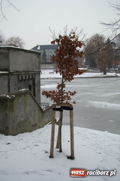 Zdjęcie w galerii na portalu naszraciborz.pl: Stary szpital przed Światowym Dniem Chorego wiadomości z regionu