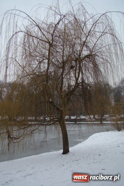 Zdjęcie w galerii na portalu naszraciborz.pl: Stary szpital przed Światowym Dniem Chorego wiadomości z regionu