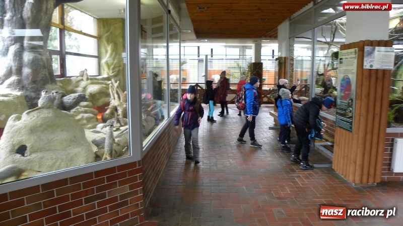Zdjęcie w galerii na portalu naszraciborz.pl: Ferie zimowe z biblioteką dobiegły końca wiadomości z regionu