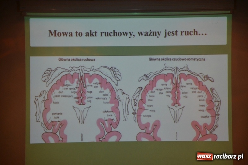 Zdjęcie w galerii na portalu naszraciborz.pl: Klucz do uczenia się. Konferencja na Zamku Piastowskim wiadomości z regionu