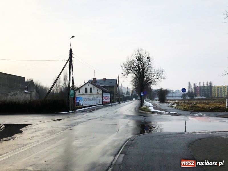 Zdjęcie w galerii na portalu naszraciborz.pl: Drzewa na Łąkowej czeka wycinka. Czy istnieje alternatywne rozwiązanie? wiadomości z regionu