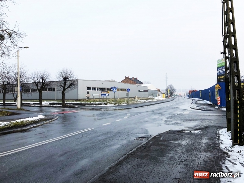 Zdjęcie w galerii na portalu naszraciborz.pl: Drzewa na Łąkowej czeka wycinka. Czy istnieje alternatywne rozwiązanie? wiadomości z regionu