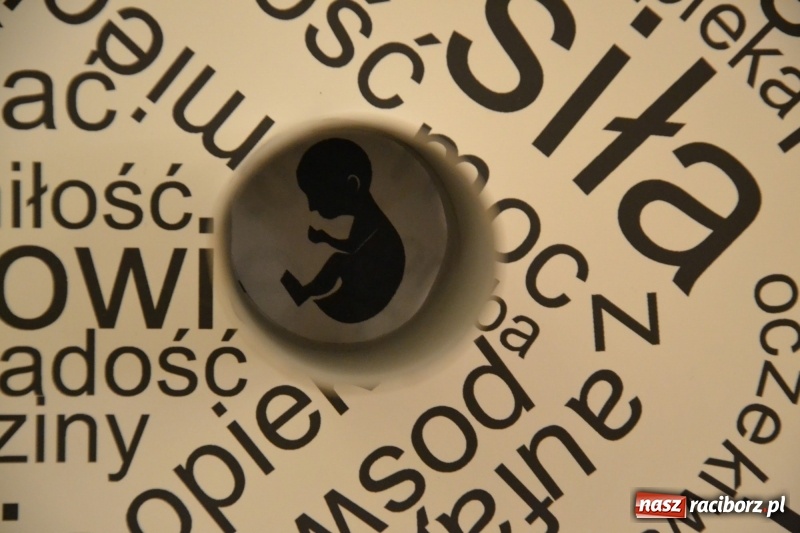 Zdjęcie w galerii na portalu naszraciborz.pl: Po prostu PasJA - wernisaż wystawy na Zamku Piastowskim  wiadomości z regionu