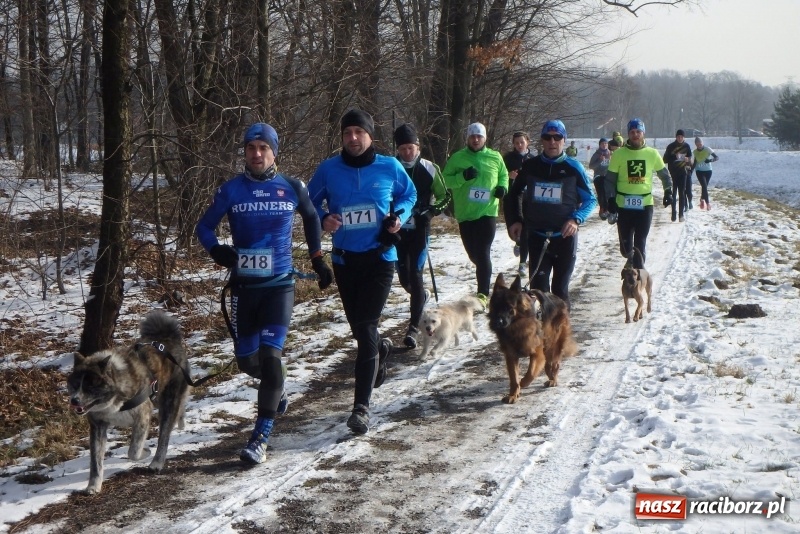 Zdjęcie w galerii na portalu naszraciborz.pl: Eko-Okna Runners - styczniowe zmagania i nowe wyzwania wiadomości z regionu