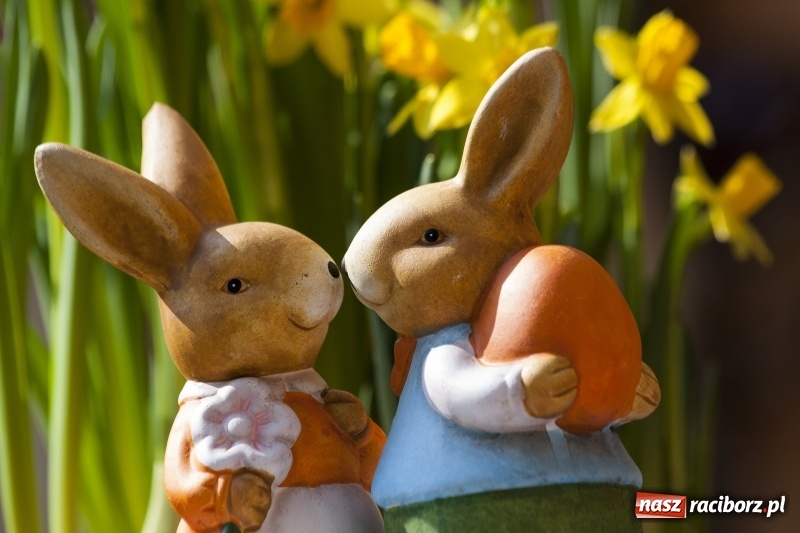 Zdjęcie w galerii na portalu naszraciborz.pl: Praga – Jarmarki Wielkanocne!    wiadomości z regionu