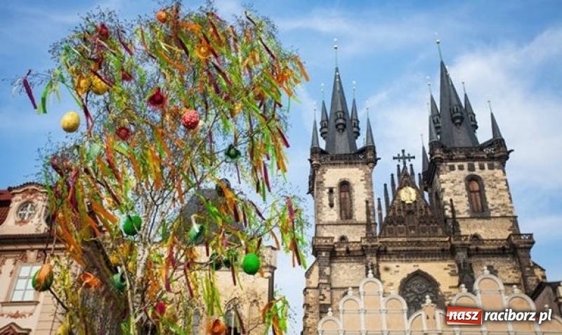 Zdjęcie w galerii na portalu naszraciborz.pl: Praga – Jarmarki Wielkanocne!    wiadomości z regionu