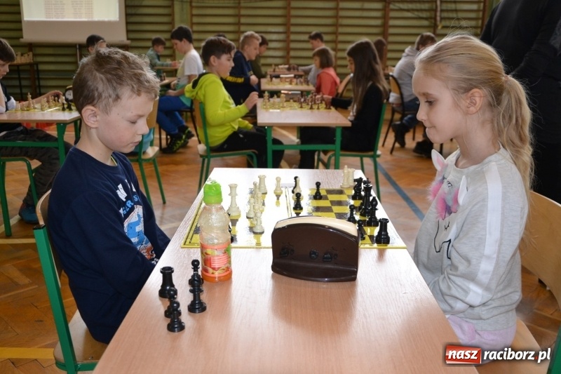 Zdjęcie w galerii na portalu naszraciborz.pl: Międzynarodowy turniej szachowy w Tworkowie  wiadomości z regionu