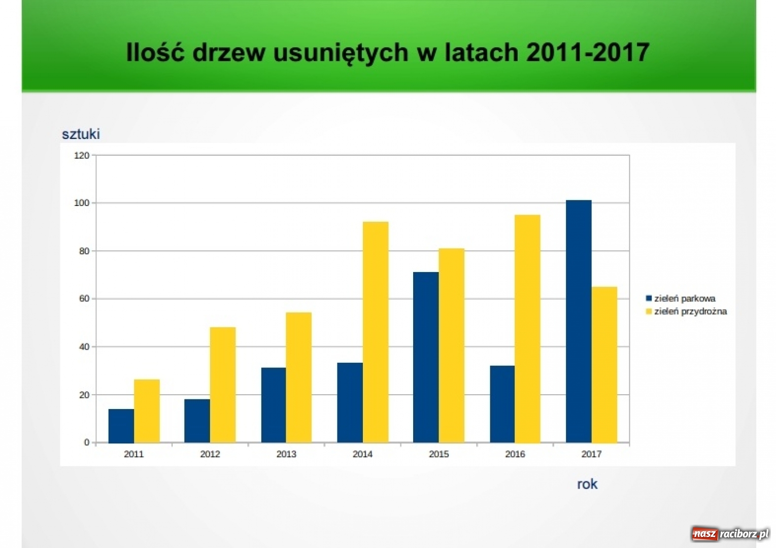 Zdjęcie w galerii na portalu naszraciborz.pl: Miniony rok rekordowy pod względem usuwania drzew parkowych w Raciborzu wiadomości z regionu