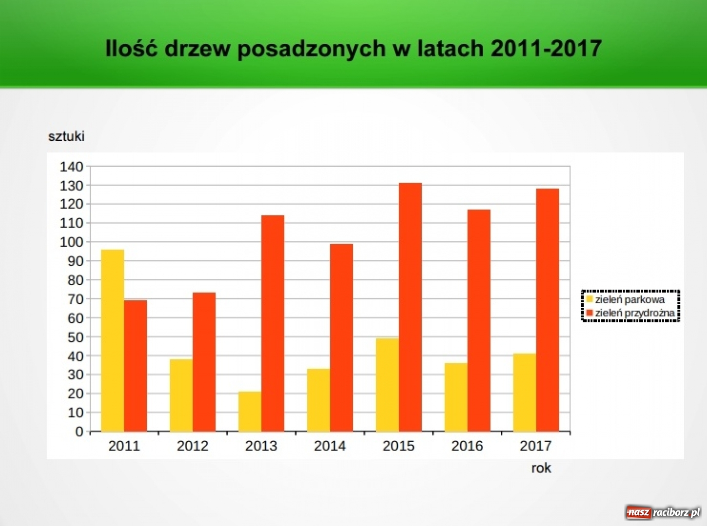 Zdjęcie w galerii na portalu naszraciborz.pl: Miniony rok rekordowy pod względem usuwania drzew parkowych w Raciborzu wiadomości z regionu