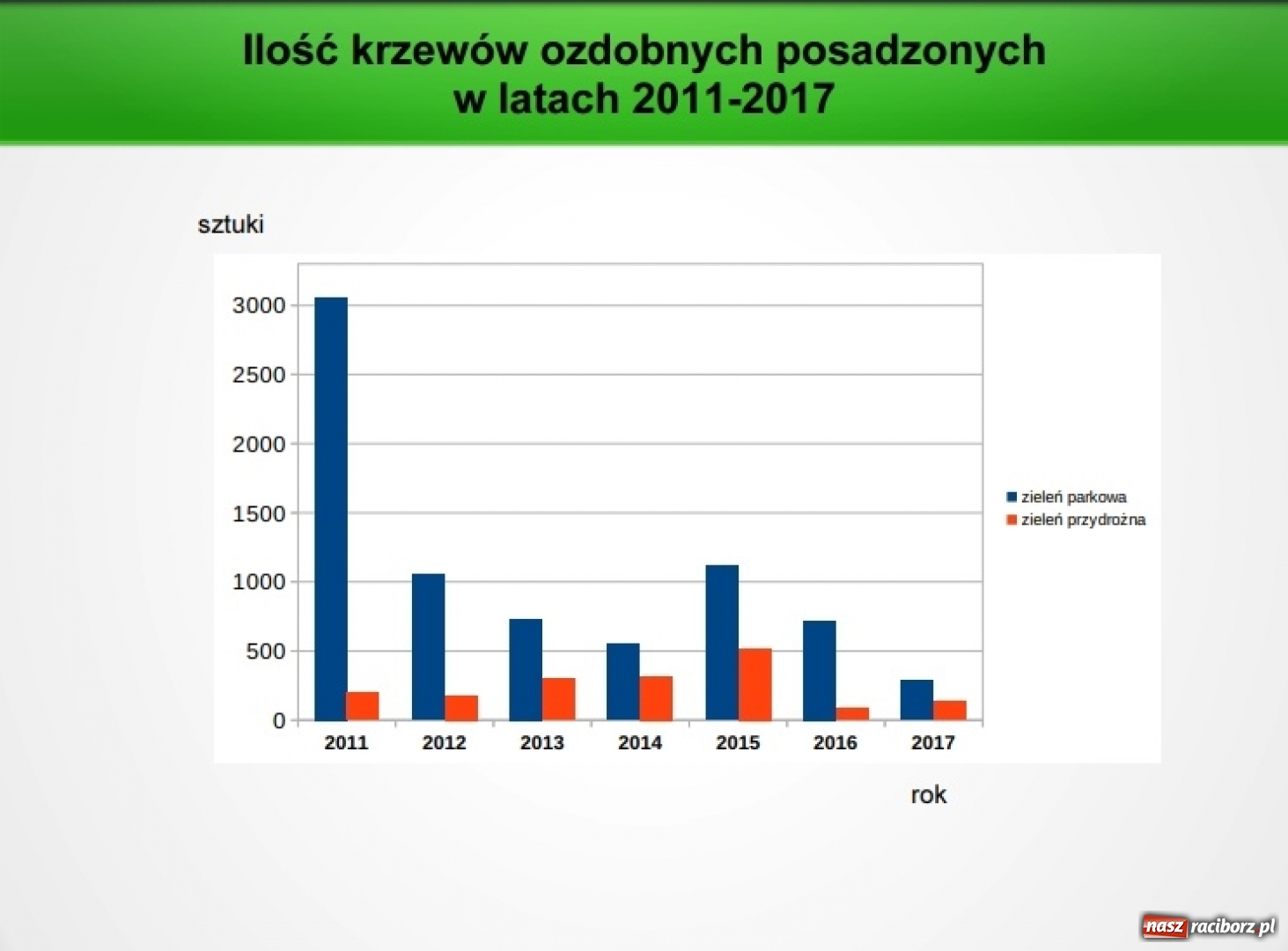 Zdjęcie w galerii na portalu naszraciborz.pl: Miniony rok rekordowy pod względem usuwania drzew parkowych w Raciborzu wiadomości z regionu