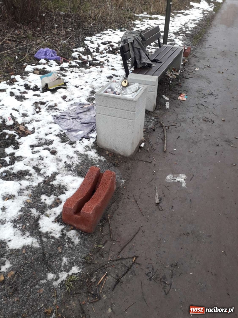 Zdjęcie w galerii na portalu naszraciborz.pl: Tak magistrat dba o czystość na bulwarach wiadomości z regionu