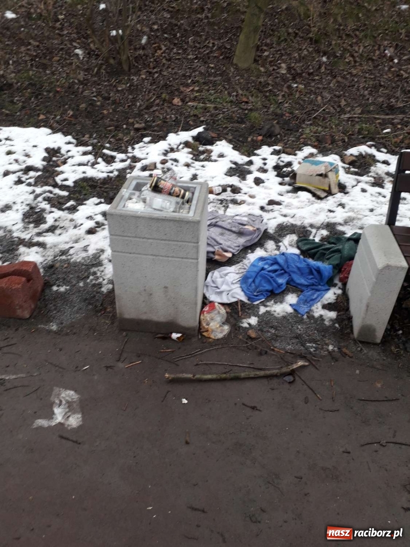 Zdjęcie w galerii na portalu naszraciborz.pl: Tak magistrat dba o czystość na bulwarach wiadomości z regionu