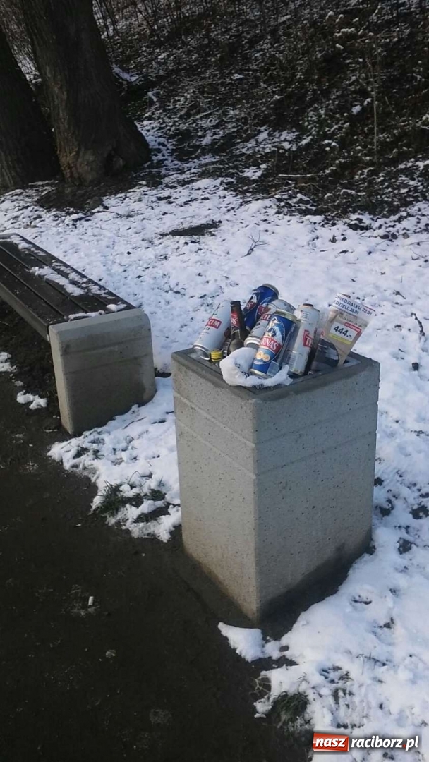 Zdjęcie w galerii na portalu naszraciborz.pl: Tak magistrat dba o czystość na bulwarach wiadomości z regionu