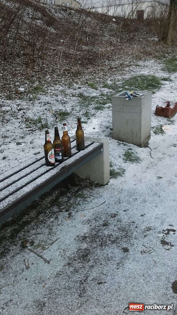 Zdjęcie w galerii na portalu naszraciborz.pl: Tak magistrat dba o czystość na bulwarach wiadomości z regionu