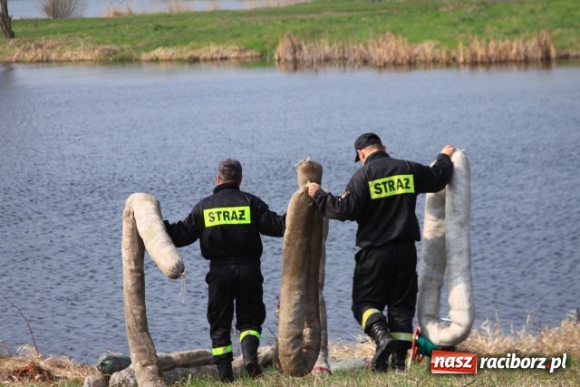 Zdjęcie w galerii na portalu naszraciborz.pl: Zatopiony mercedes już na brzegu wiadomości z regionu