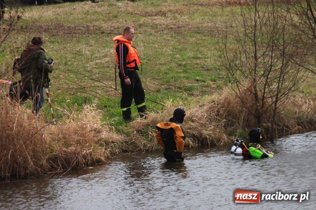 Zdjęcie w galerii na portalu naszraciborz.pl: Zatopiony mercedes już na brzegu wiadomości z regionu