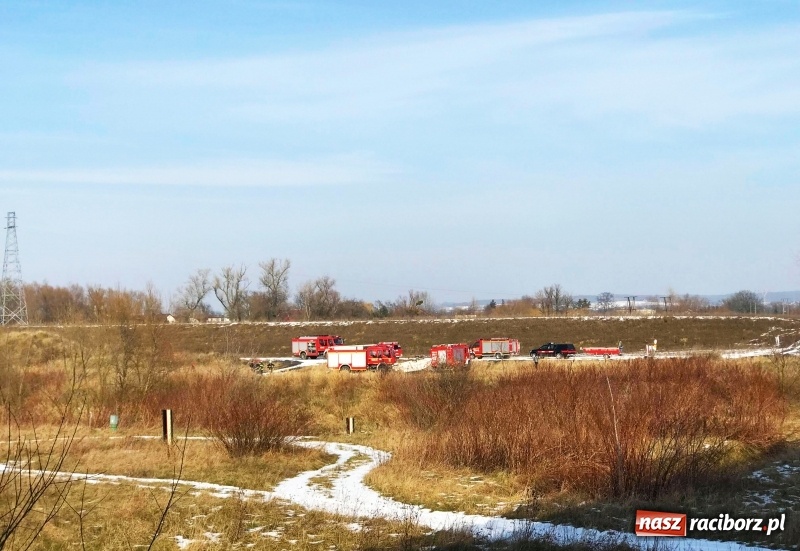 Zdjęcie w galerii na portalu naszraciborz.pl: Młody mężczyzna chciał skoczyć z mostu na trasie Krzyżanowice-Buków wiadomości z regionu