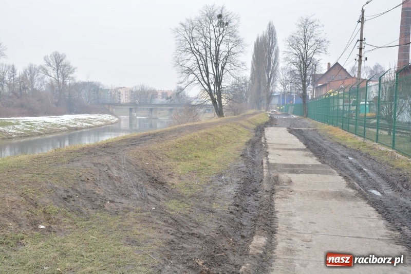 Zdjęcie w galerii na portalu naszraciborz.pl: Przydałaby się porządna ścieżka rowerowa zamiast grzęzawiska wiadomości z regionu