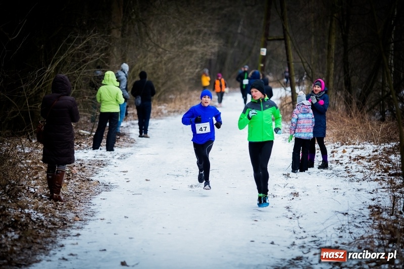 Zdjęcie w galerii na portalu naszraciborz.pl: Mróz, lód i śnieg niestraszny biegaczom. Blisko 500 twardzieli pokonało trasę w Oborze wiadomości z regionu