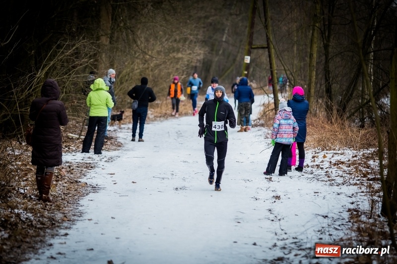 Zdjęcie w galerii na portalu naszraciborz.pl: Mróz, lód i śnieg niestraszny biegaczom. Blisko 500 twardzieli pokonało trasę w Oborze wiadomości z regionu