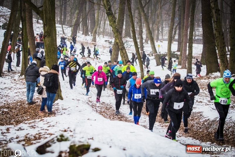 Zdjęcie w galerii na portalu naszraciborz.pl: Mróz, lód i śnieg niestraszny biegaczom. Blisko 500 twardzieli pokonało trasę w Oborze wiadomości z regionu