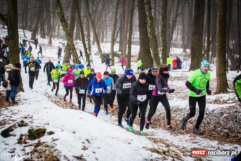 Zdjęcie w galerii na portalu naszraciborz.pl: Mróz, lód i śnieg niestraszny biegaczom. Blisko 500 twardzieli pokonało trasę w Oborze wiadomości z regionu