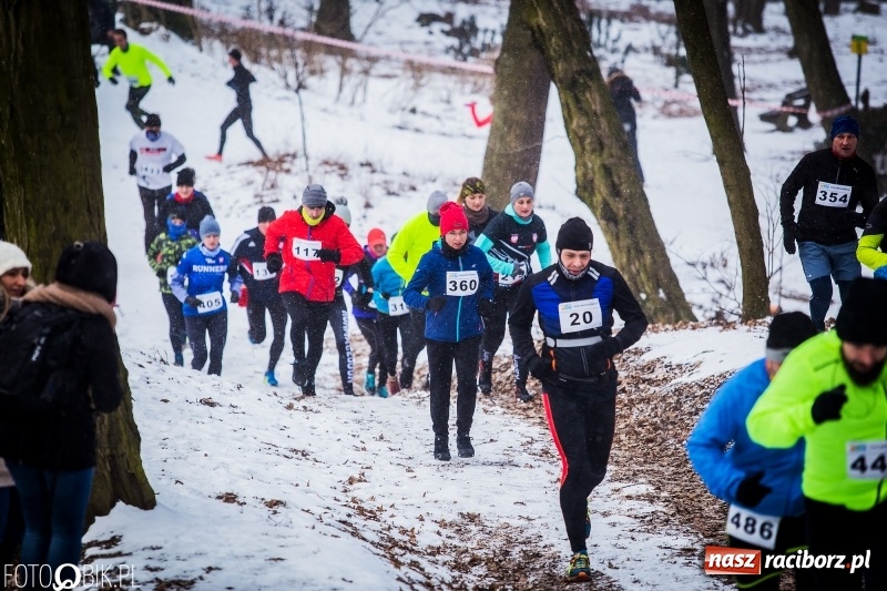 Zdjęcie w galerii na portalu naszraciborz.pl: Mróz, lód i śnieg niestraszny biegaczom. Blisko 500 twardzieli pokonało trasę w Oborze wiadomości z regionu