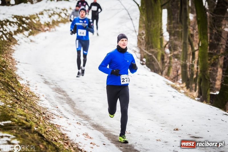 Zdjęcie w galerii na portalu naszraciborz.pl: Mróz, lód i śnieg niestraszny biegaczom. Blisko 500 twardzieli pokonało trasę w Oborze wiadomości z regionu
