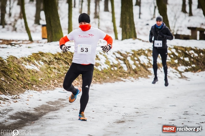 Zdjęcie w galerii na portalu naszraciborz.pl: Mróz, lód i śnieg niestraszny biegaczom. Blisko 500 twardzieli pokonało trasę w Oborze wiadomości z regionu