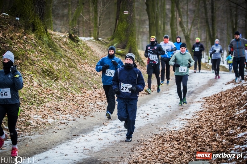 Zdjęcie w galerii na portalu naszraciborz.pl: Mróz, lód i śnieg niestraszny biegaczom. Blisko 500 twardzieli pokonało trasę w Oborze wiadomości z regionu