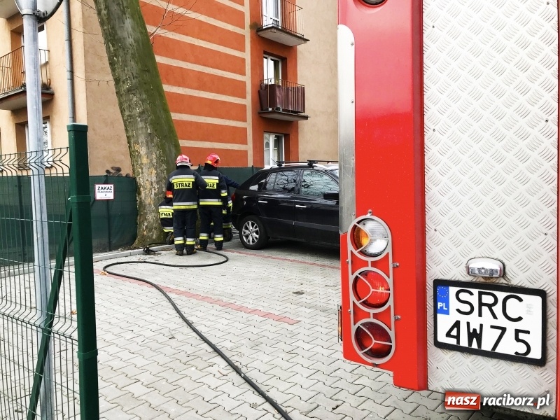 Zdjęcie w galerii na portalu naszraciborz.pl: Pożar drzewa na Placu Dworcowym w Raciborzu. Prawdopodobnie ktoś je podpalił wiadomości z regionu